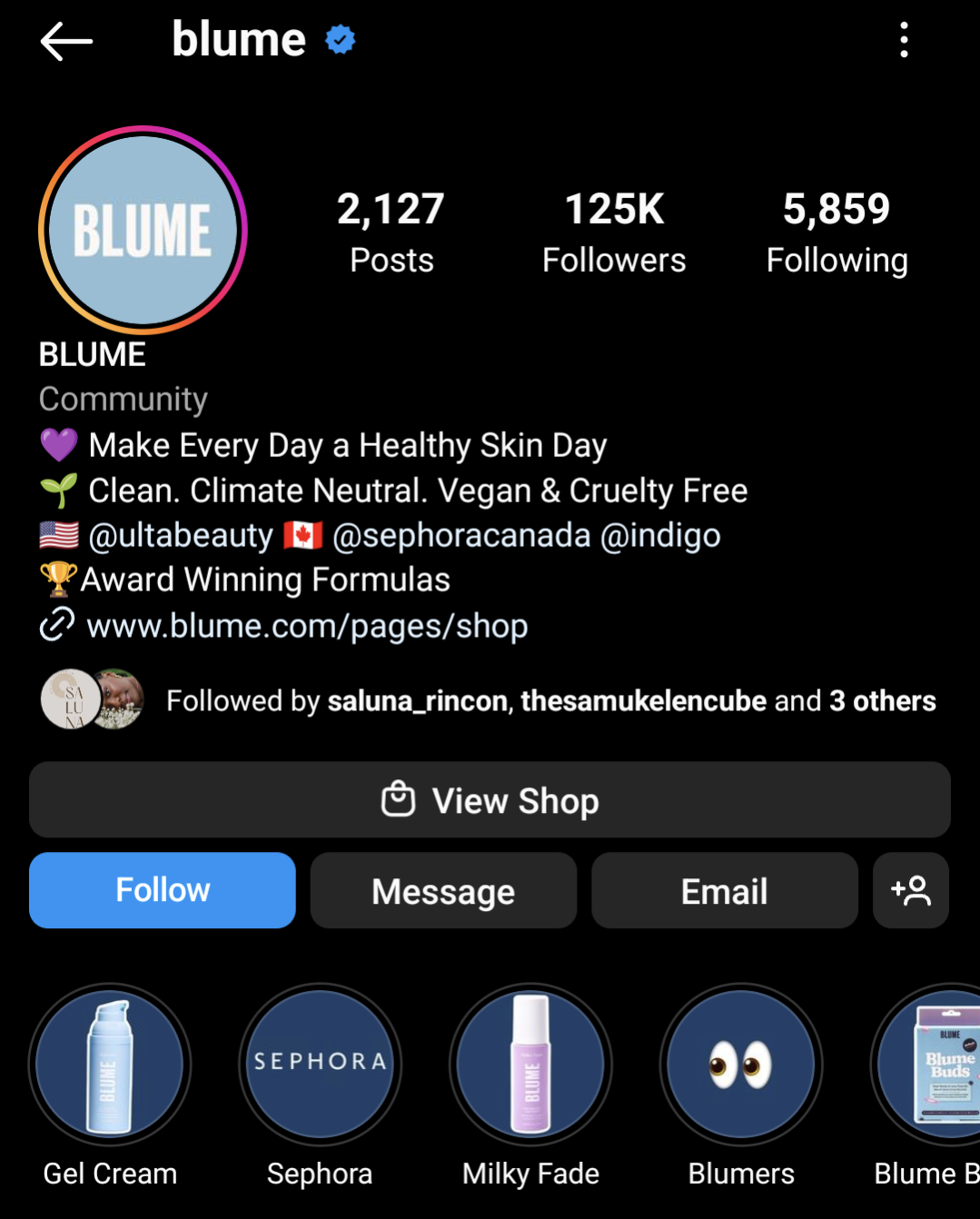 Blume's  Instagram bio is concise and witty