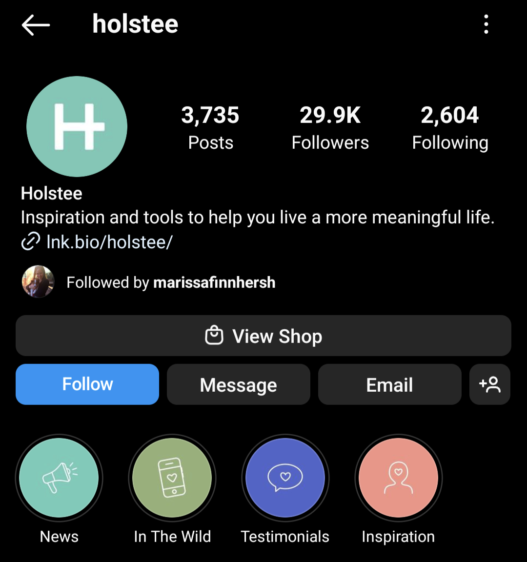 Holstee has a bright and playful Instagram bio with use of emojis