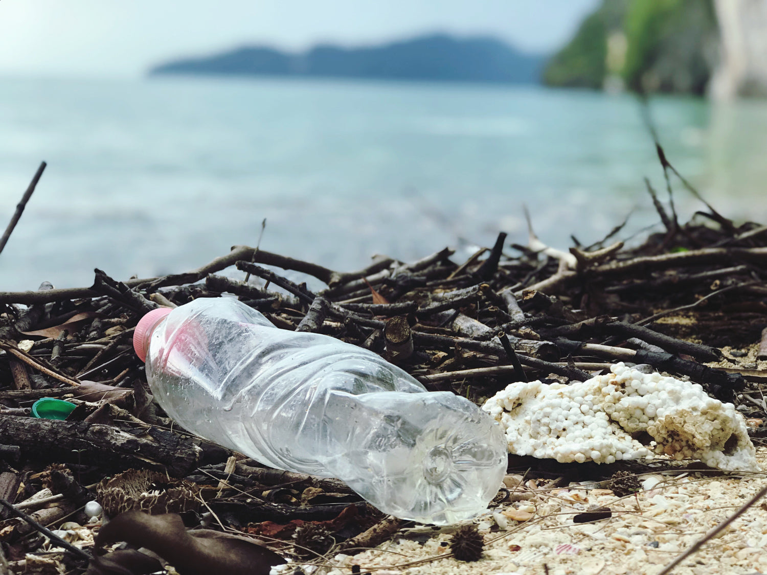 A discarded single use plastic bottle lies on the beach
