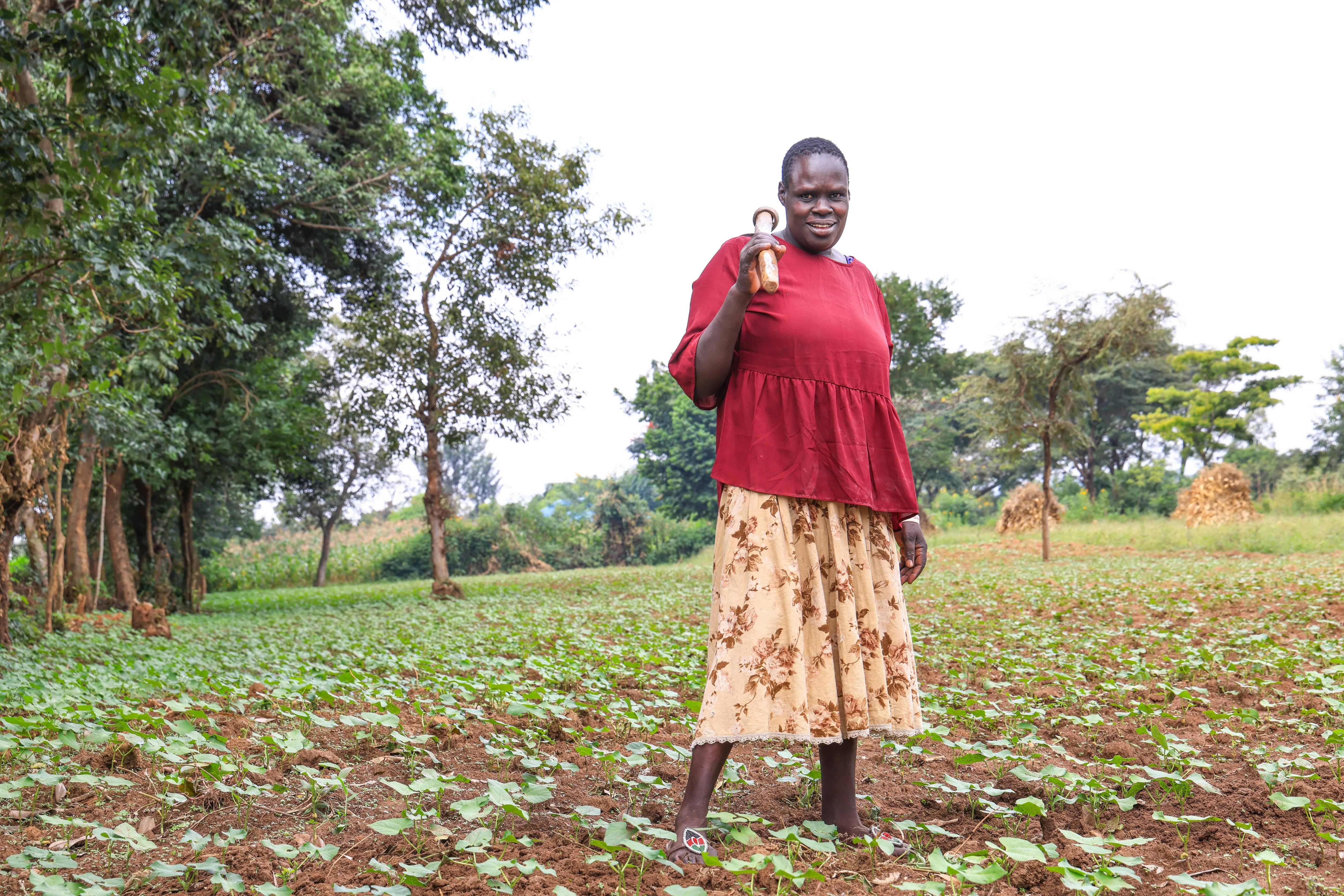 High-iron bean farmer Sarah Ikarot stands in a field where tobacco once grew