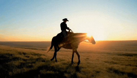 An AI-generated video clip of a horse being ridden by a cowboy past a sunset.