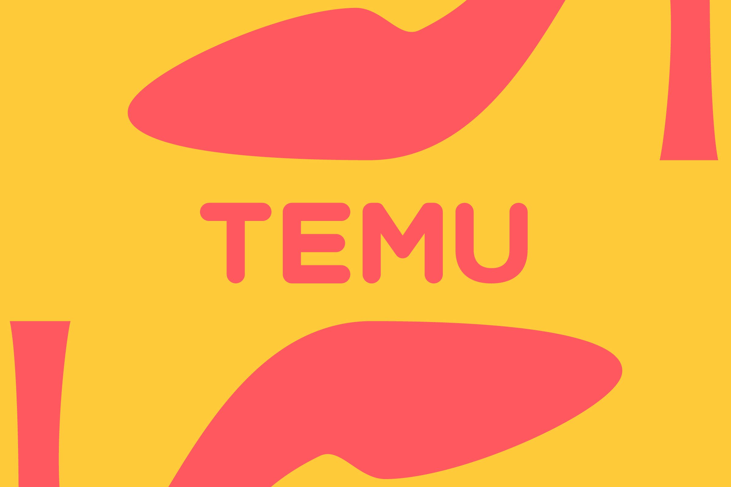 Colorful logo of Temu