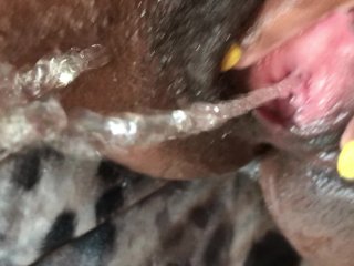 close up pee, fingering, orgasm, huge pussy lips