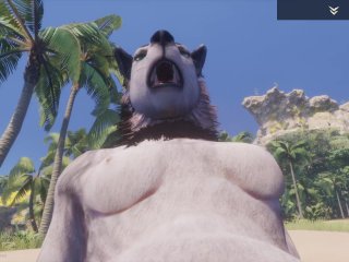 anthro, ass fuck, furry animation, wild life rasha