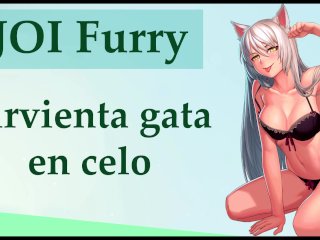 furry, cat, fetish, furry hentai