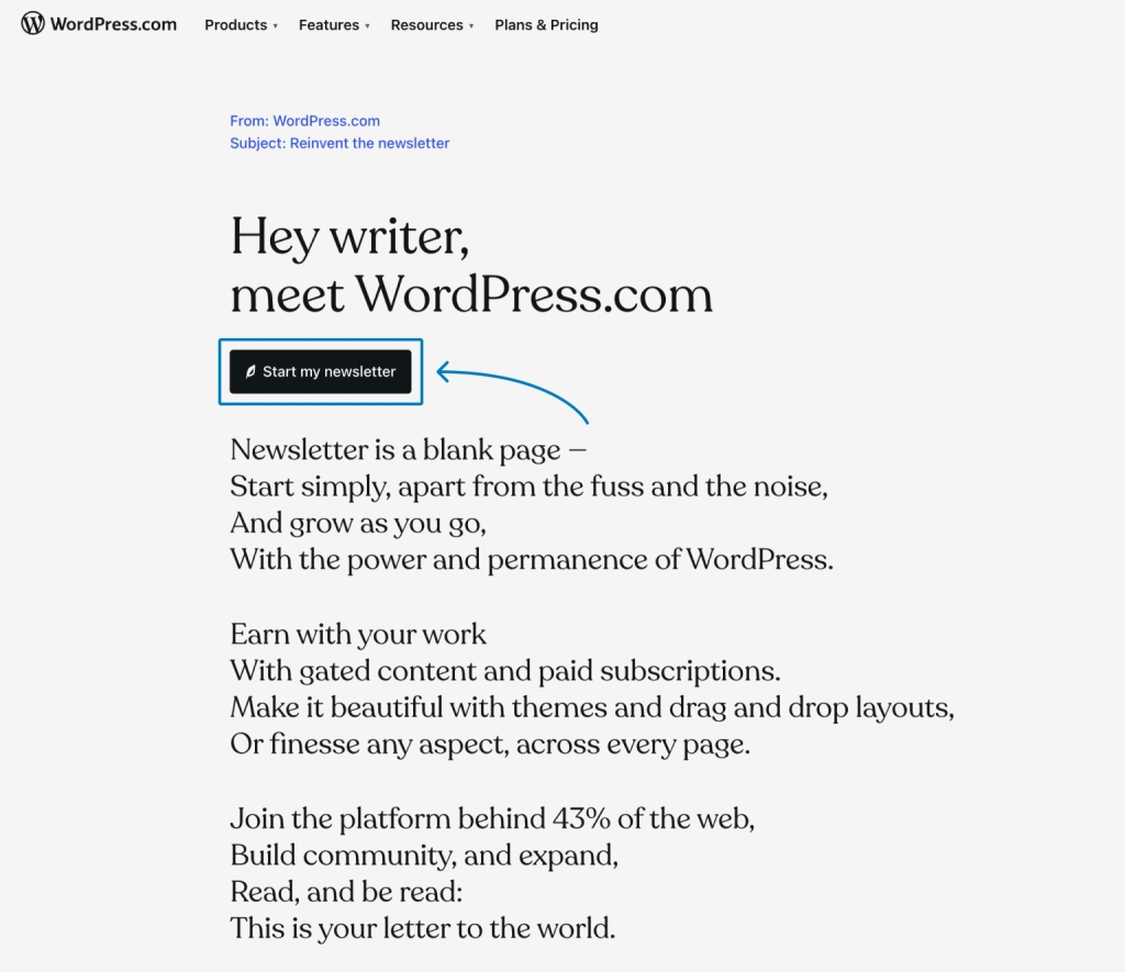WordPress.com newsletter home screenshot