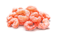 shrimp.png