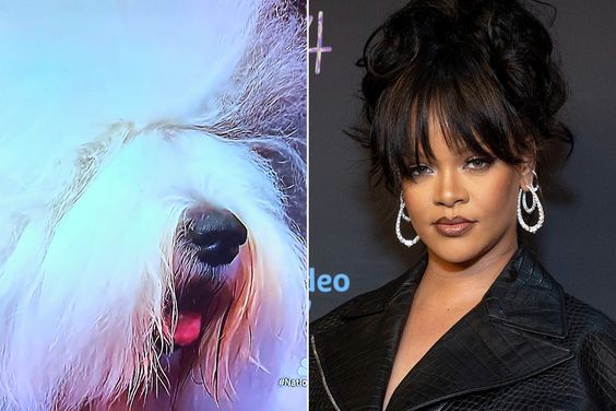 Old English Sheepdog 'Rihanna'; Rihanna attends Rihanna's Savage X Fenty Show Vol. 4 presented by Prime Video
