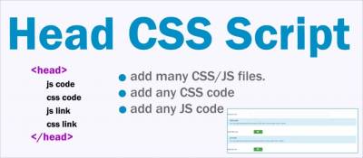 Head CSS Script