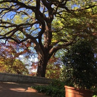 Photo taken at Dallas Arboretum and Botanical Garden by Brad on 4/2/2016