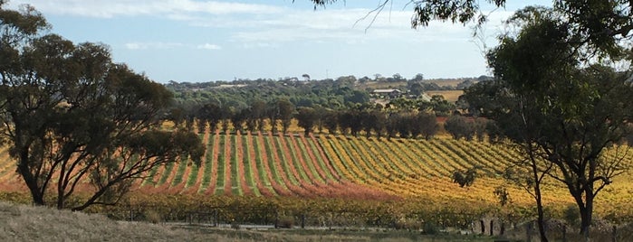 d'Arenberg Cellar Door is one of Adelaide.