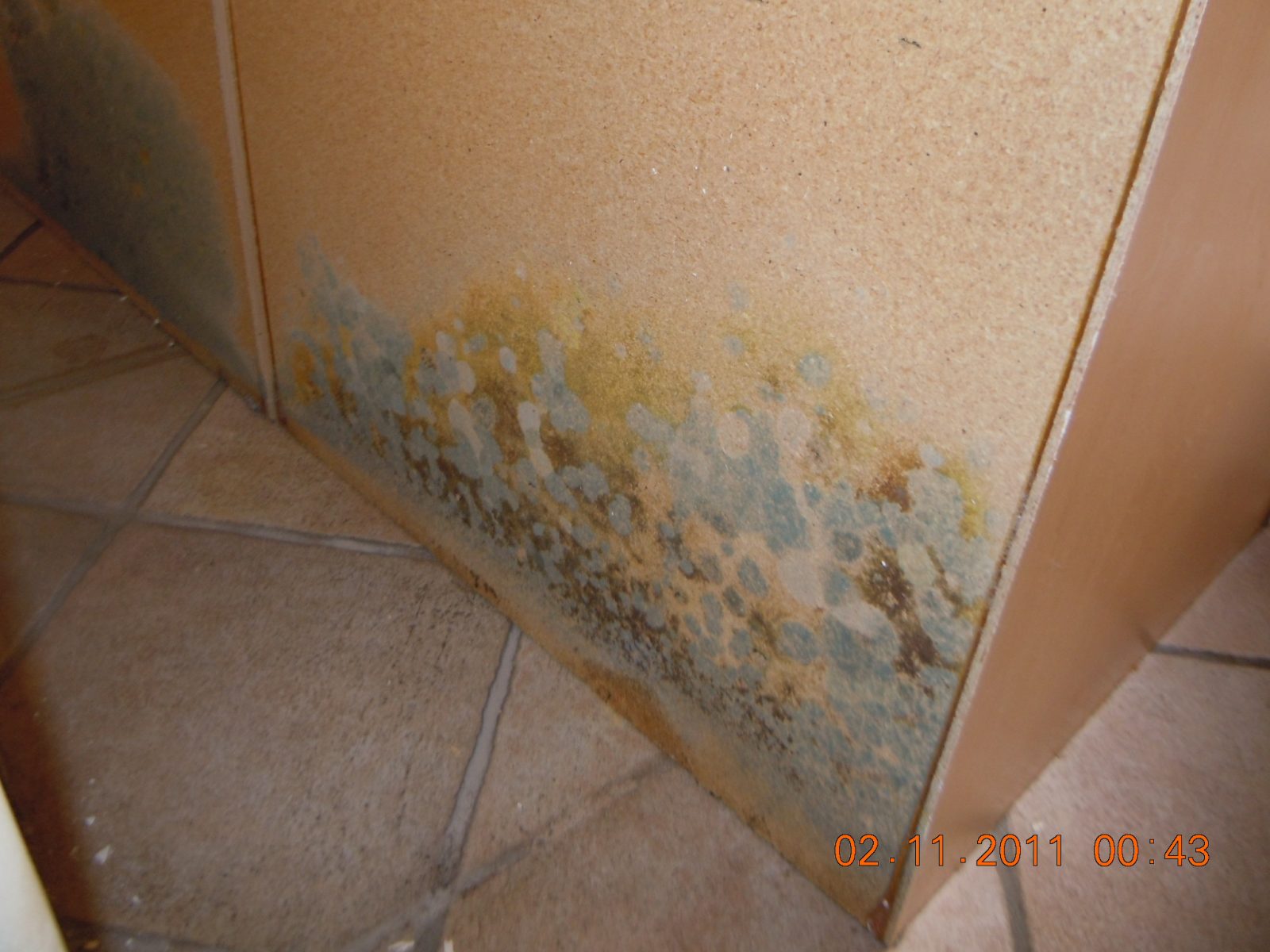 Mold Remediation Quotes Poway Ca