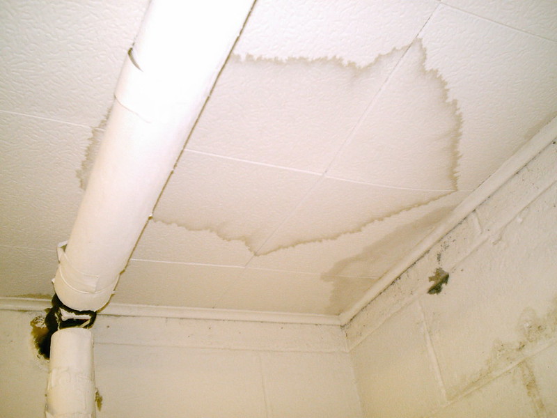 Mold Remediation Quotes Poway Ca