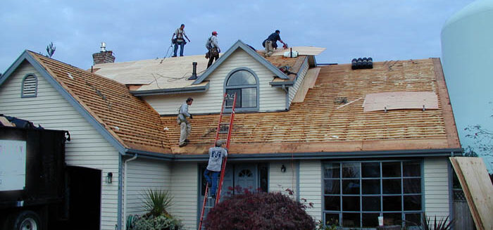 Elite Roofing Professionals
