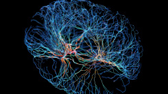A rendering of active neurons in the brain