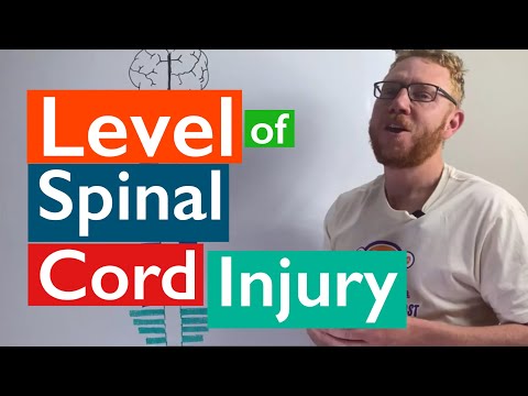 Spinal cord injury lawyer