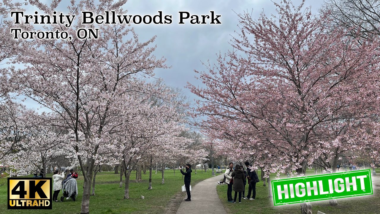 Trinity Bellwoods Park