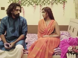 Bhabhi Ki Chudai, Hindi, Desi Doggy, Big Tits Bhabhi