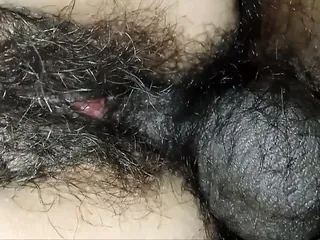 Doggy Style, Doggie Creampie, HD Videos, Sex with Hindi Audio