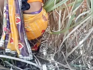 Desi Village Outdoor, Blowjob, Indian, Doggy Style