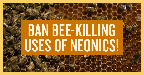 Ban bee killing use of neonics!