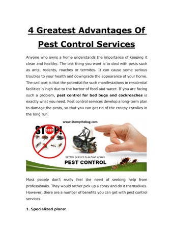 Bed Bug Inspection Services