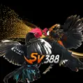 SV388 Cockfight
