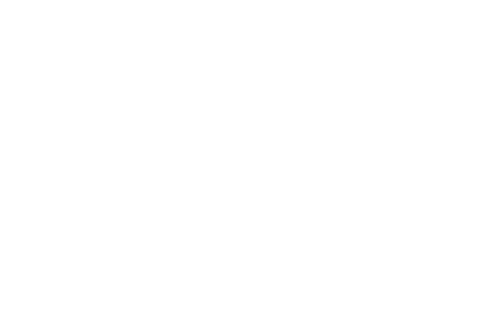 Official Selection Palm Beach International Film Festival