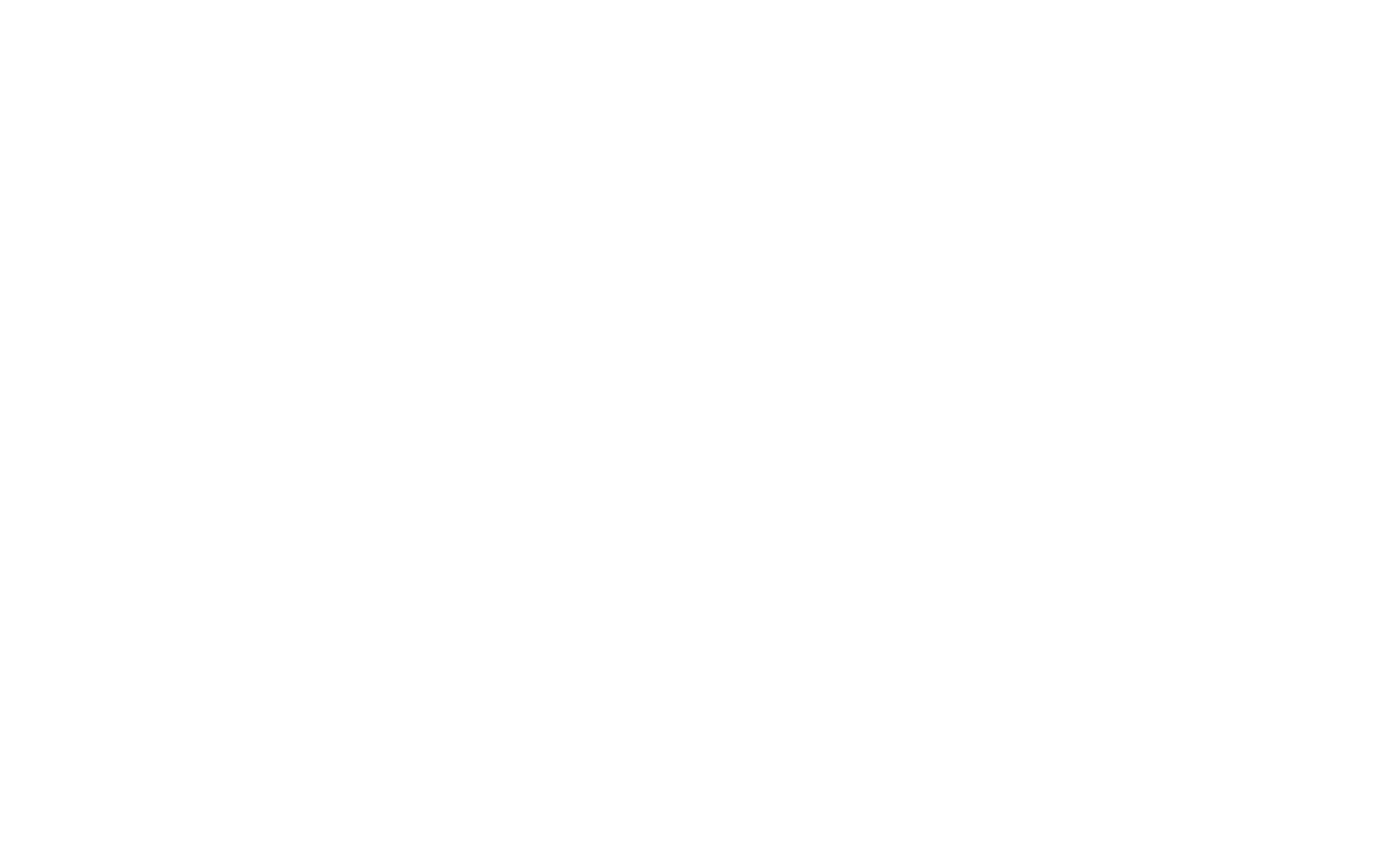 Swedish International Film Festival laurel