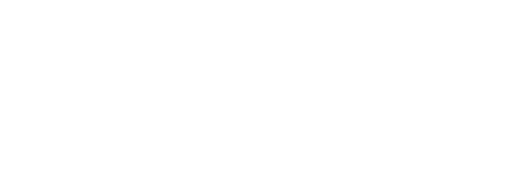 SFist Logo