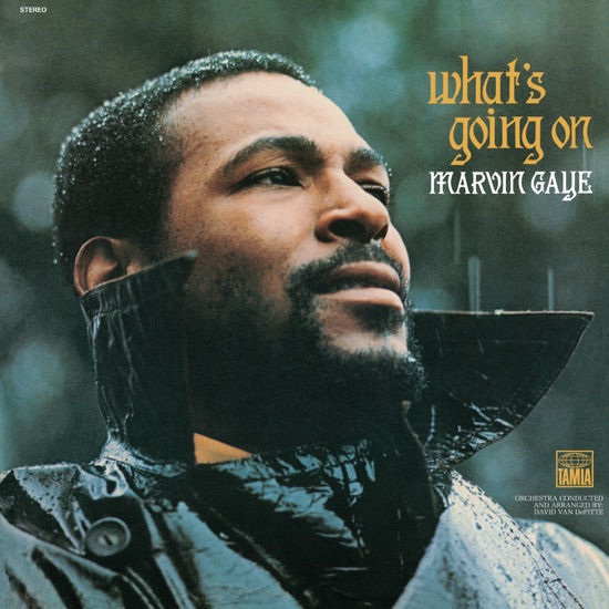 What’s Going On  - Marvin Gaye