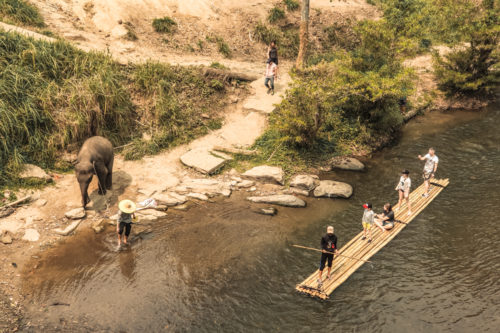 Elephant Camp at Mae Wang4