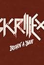 Skrillex Feat. The Doors: Breakn' a Sweat, Version 2 (2012)