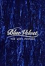 Blue Velvet Lost Footage (2014)