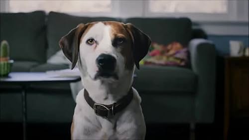 Downward Dog--Official Trailer