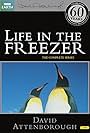 Life in the Freezer (1993)