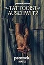 The Tattooist of Auschwitz (2024)