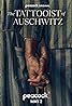 The Tattooist of Auschwitz (TV Series 2024) Poster