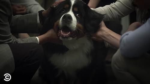Corporate: Everyone Loses It When Someone Brings A Dog To Work