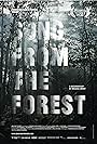 Song from the Forest (2013)