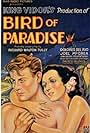 Dolores Del Río and Joel McCrea in Bird of Paradise (1932)