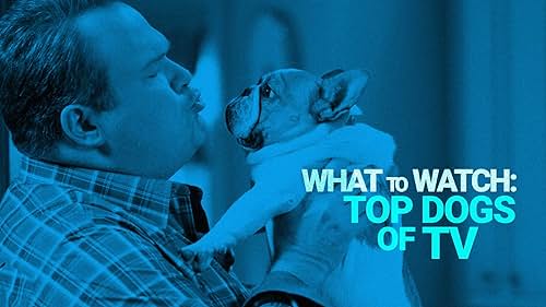 Celebrate National Dog Day with a look at the most adorable dogs ever to steal scenes in your favorite sitcoms like "Modern Family" and "The Big Bang Theory."