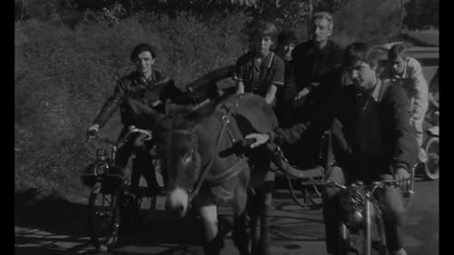 The story of a mistreated donkey and the people around him. A study on saintliness and a sister piece to Bresson's Mouchette.