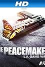 The Peacemaker (2010)