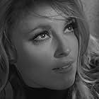 Sharon Tate in Eye of the Devil (1966)