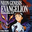 Neon Genesis Evangelion (1995)