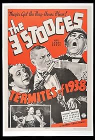 Moe Howard, Larry Fine, Symona Boniface, and Curly Howard in Termites of 1938 (1938)