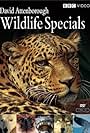 Wildlife Specials (1995)