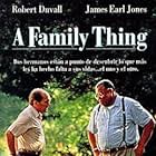 A Family Thing (1996)