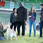 Kristen Connolly, Alyssa Diaz, Nonso Anozie, James Wolk, and Madison Wolfe in Zoo (2015)